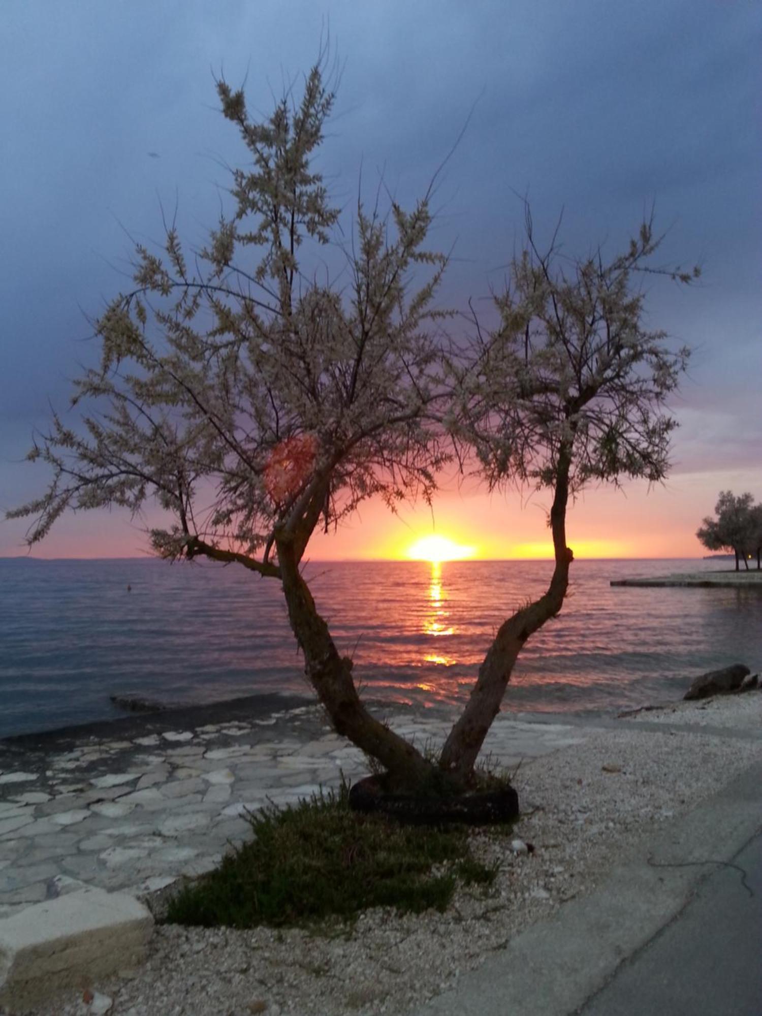Apartmani Basioli Zadar Dış mekan fotoğraf